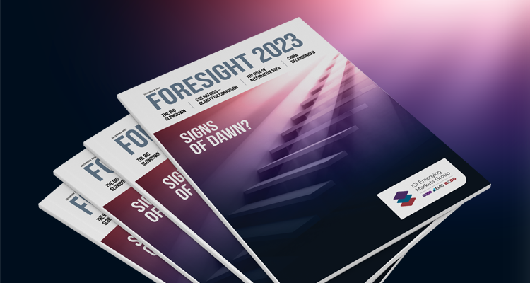 Introducing the Foresight 2023 Report